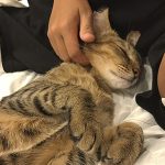 くろねじちゃん正式譲渡02