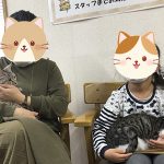 ポパイとオリーブ_ステイ決定001