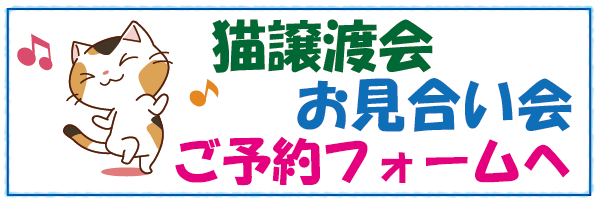 猫譲渡会お見合い会ご予約フォームへ