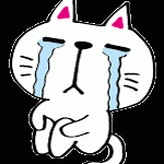 アイコン泣く猫