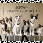 web年賀にゃん友202102