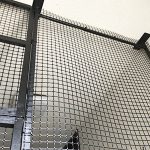 小梅のステイ先脱走防止対策002