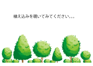 植え込みをのぞいてみてください