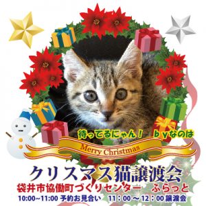 なのは202111224クリスマス譲渡会