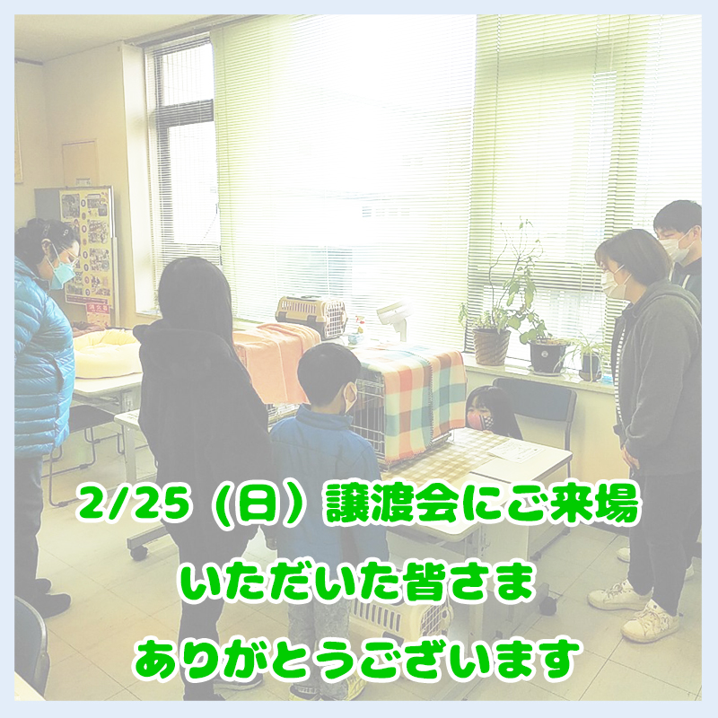 2月25日の譲渡会のお礼01