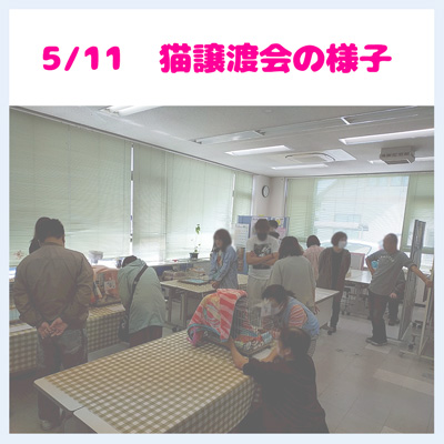 20250511譲渡会の様子