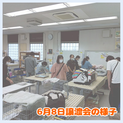 20250608譲渡会の様子
