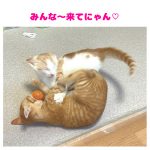 20250712てつや達