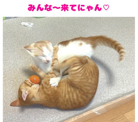 20250712てつや達