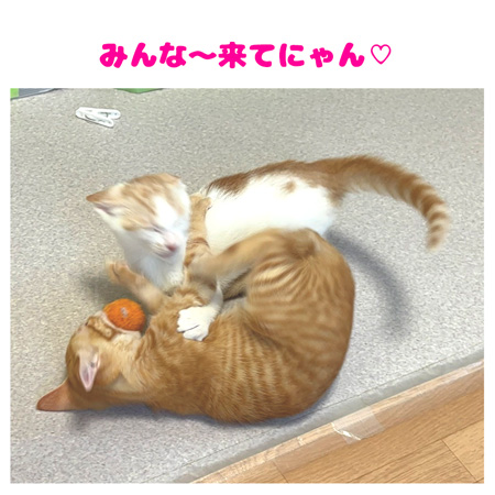 20250712てつや達