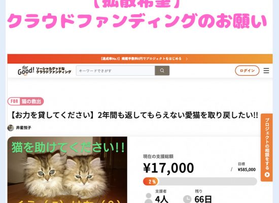 クラファン2028070301