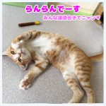 らんらん2025080801