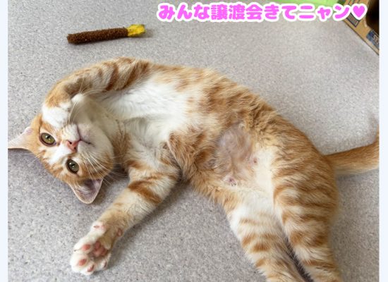 らんらん2025080801