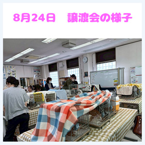 20250824譲渡会の様子