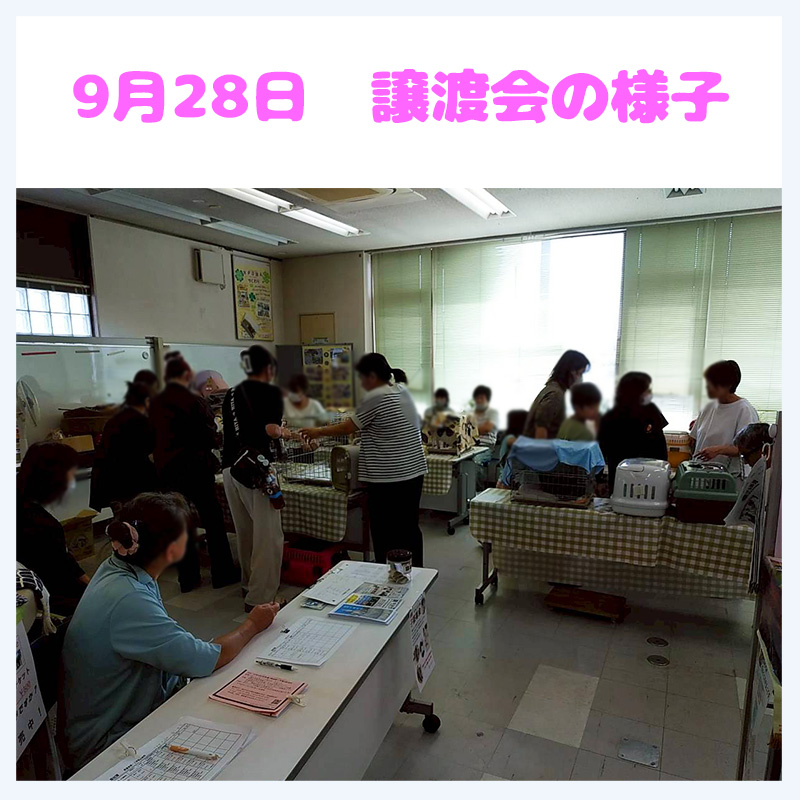 20250928譲渡会の様子