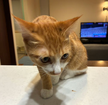 りょうたさつき01