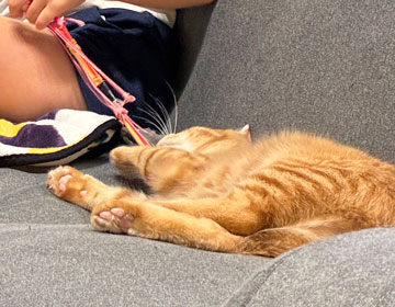 りょうたさつき02