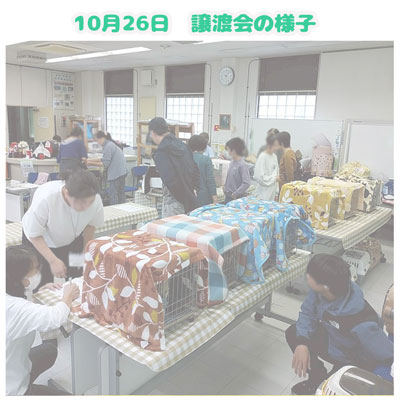 2025年10月26日譲渡会の様子