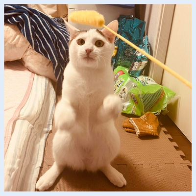 20251227せいじゅうろうしんたろう2