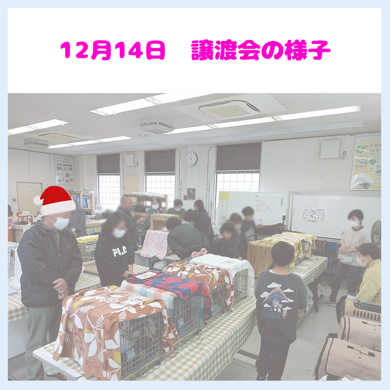 20251214譲渡会の様子2