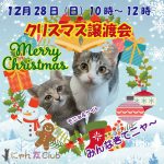 クリスマス譲渡会モニョケイト