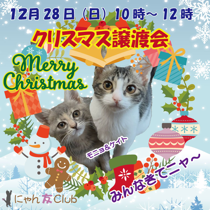 クリスマス譲渡会モニョケイト