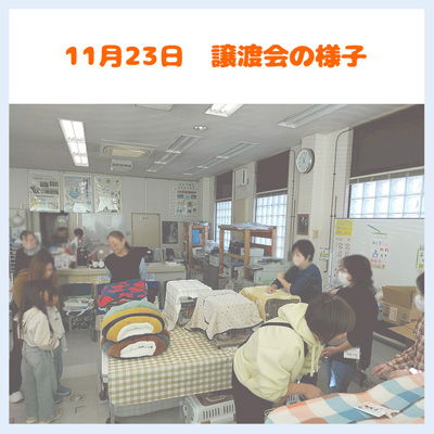 20251123譲渡会の様子