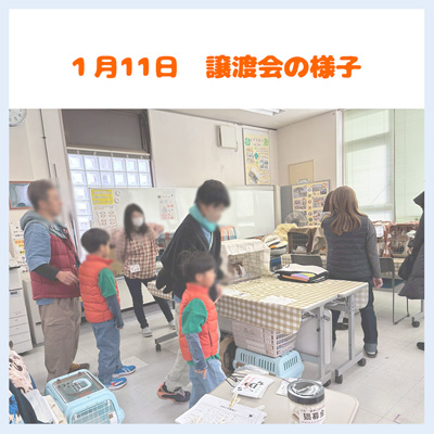 20260111譲渡会の様子