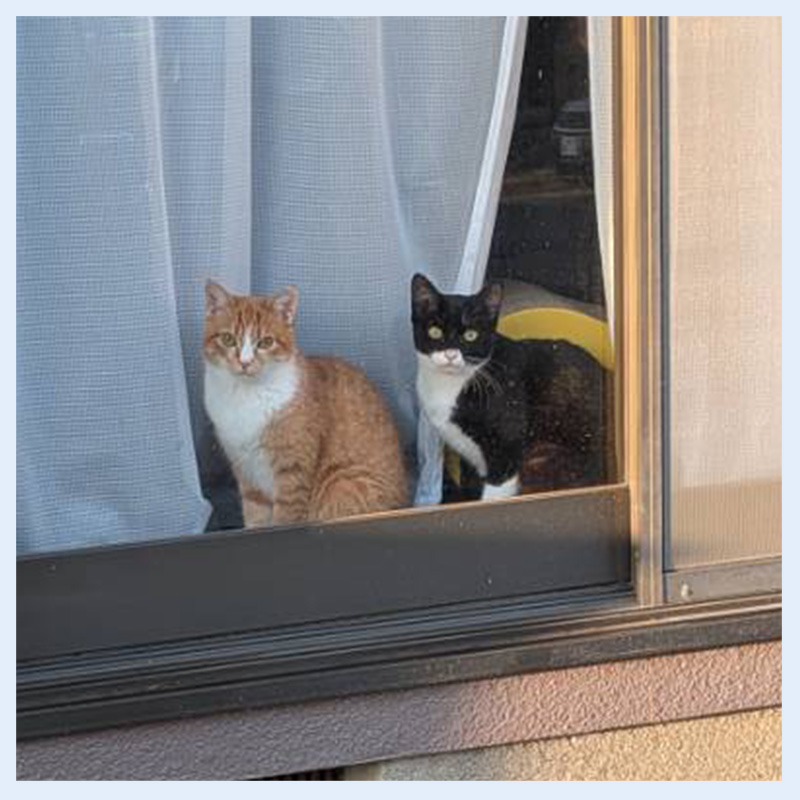 りこらんらん20260124001