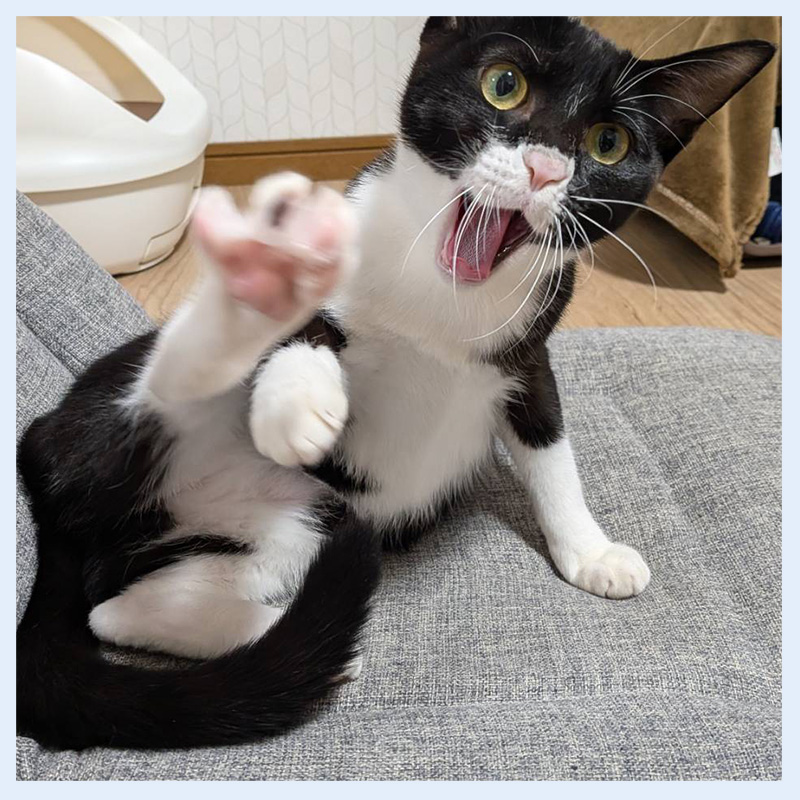 りこらんらん20260124003