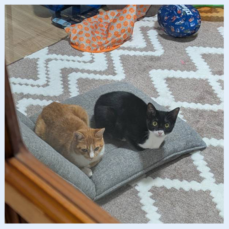 りこらんらん20260124002