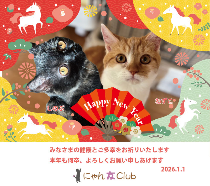 ねずことしのぶ年賀状3