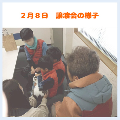 20260208譲渡会の様子02