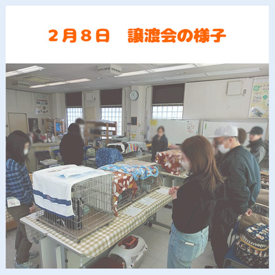 20260208譲渡会の様子01