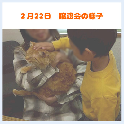 20260222譲渡会の様子2