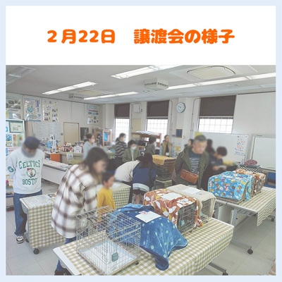 20260222譲渡会の様子
