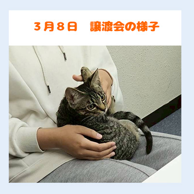 20260308譲渡会の様子抱っこ