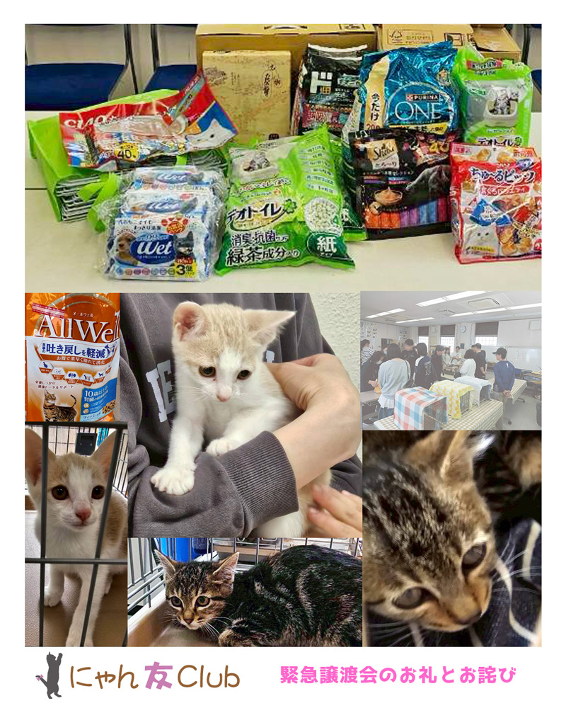 インスタ202610お礼とお詫び