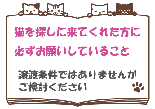 猫を探しに来てくれた方にお願いしていること